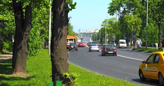 Посадка деревьев и кустарников в Старом Осколе — стоимость от 1214 руб.
